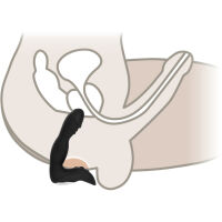 MASAŽÉR PROSTATY, SAMODRŽÍCÍ VIBRÁTOR PRO ŽENY 2V1 - 10 FUNKCÍ  - 70770741 - 3