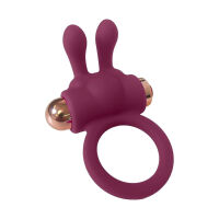 Adventní kalendář s erotickými doplňky pro páry Dreamtoys - 73823134 - 27