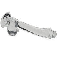 MĚKKÝ JELLY PENIS NA PŘÍSAVCE - 73855613 - 2