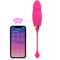 VÝKONNÉ STIMULAČNÍ VAJÍČKO OVLÁDANÉ APLIKACÍ - 9 ZABUDOVANÝCH FUNKCÍ  - 74212637 - 8