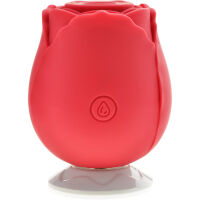 VZDUCHOVÝ STIMULÁTOR - 10 FUNKCÍ - VIBRAČNĚ-SACÍ MASAŽÉR KLITORISU A CELÉHO TĚLA  - 78841722 - 3