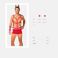 Obsessive Pánská sada spodního prádla Mr Reindy - 79417254 - 8