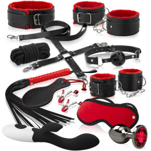 Sada pro páry: BDSM doplňky, vibrátor s výstupky, anální kolík s krystalkem - 79854253