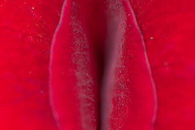 Minetka – přehled erotických hraček imitujících orální sex